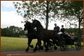 935 Willy & Gerard 104 Met de Koets